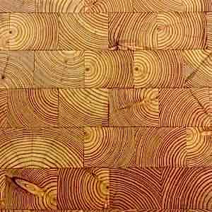 Larch