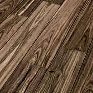 American Walnut Lively