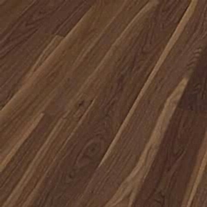 American Walnut Lively