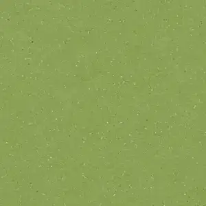 Aloe Green